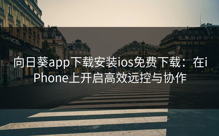 向日葵app下载安装ios免费下载：在iPhone上开启高效远控与协作