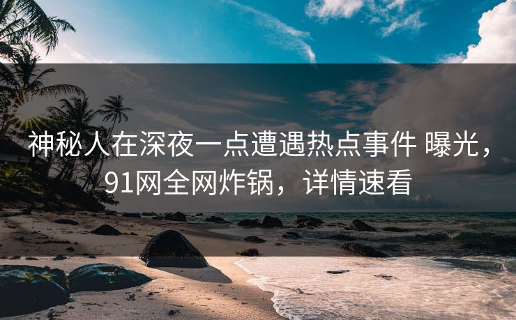 神秘人在深夜一点遭遇热点事件 曝光，91网全网炸锅，详情速看